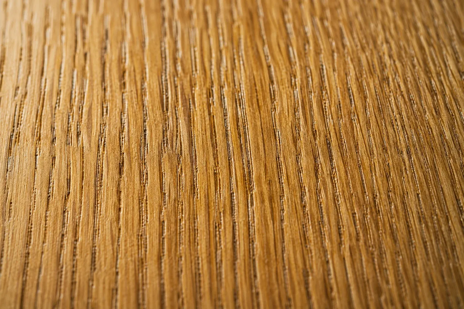 Grain du bois de chêne en macro