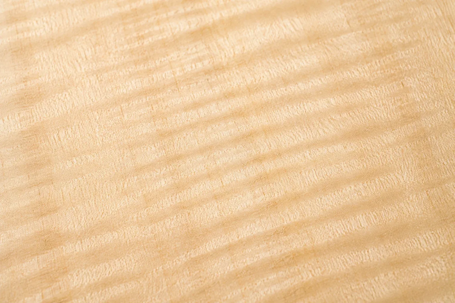 Grain du bois de érable sycomore en macro